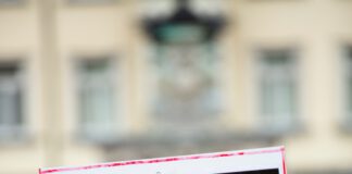 Thunbergová daruje 10 mil korun ekologickým organizacím