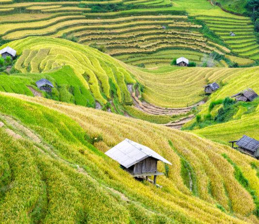 Vietnam sužují přívalové deště, hlásí 105 obětí